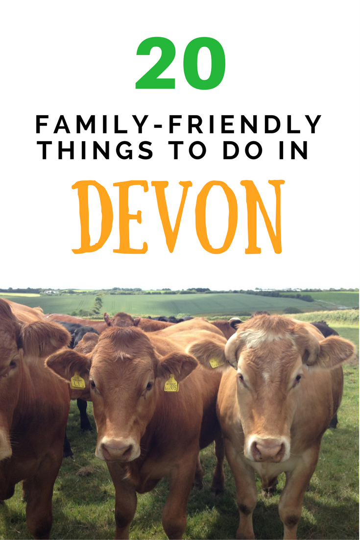 things to do in Devon