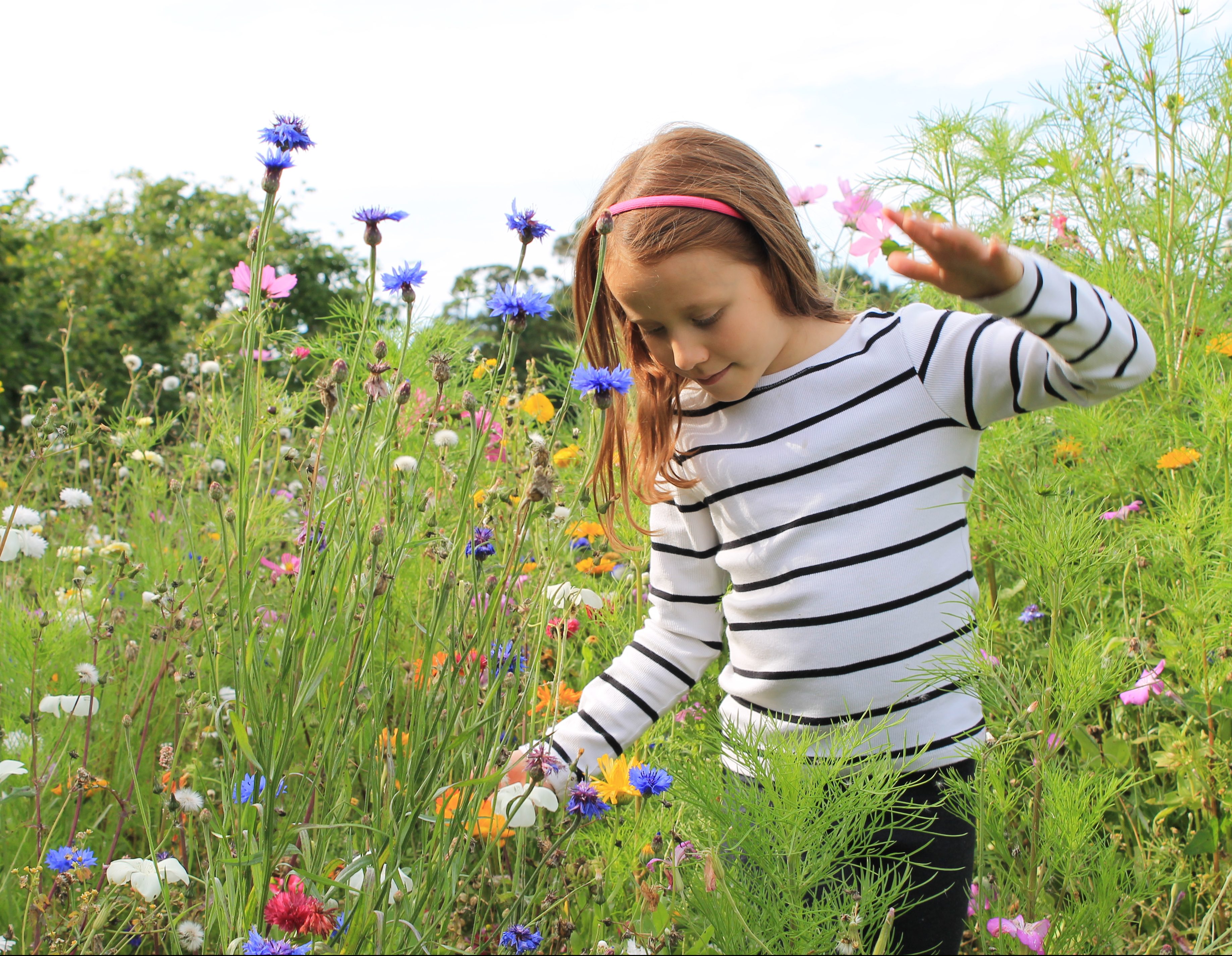Spring clean checklist - what to do during a spring clean. Walking through bright flowers