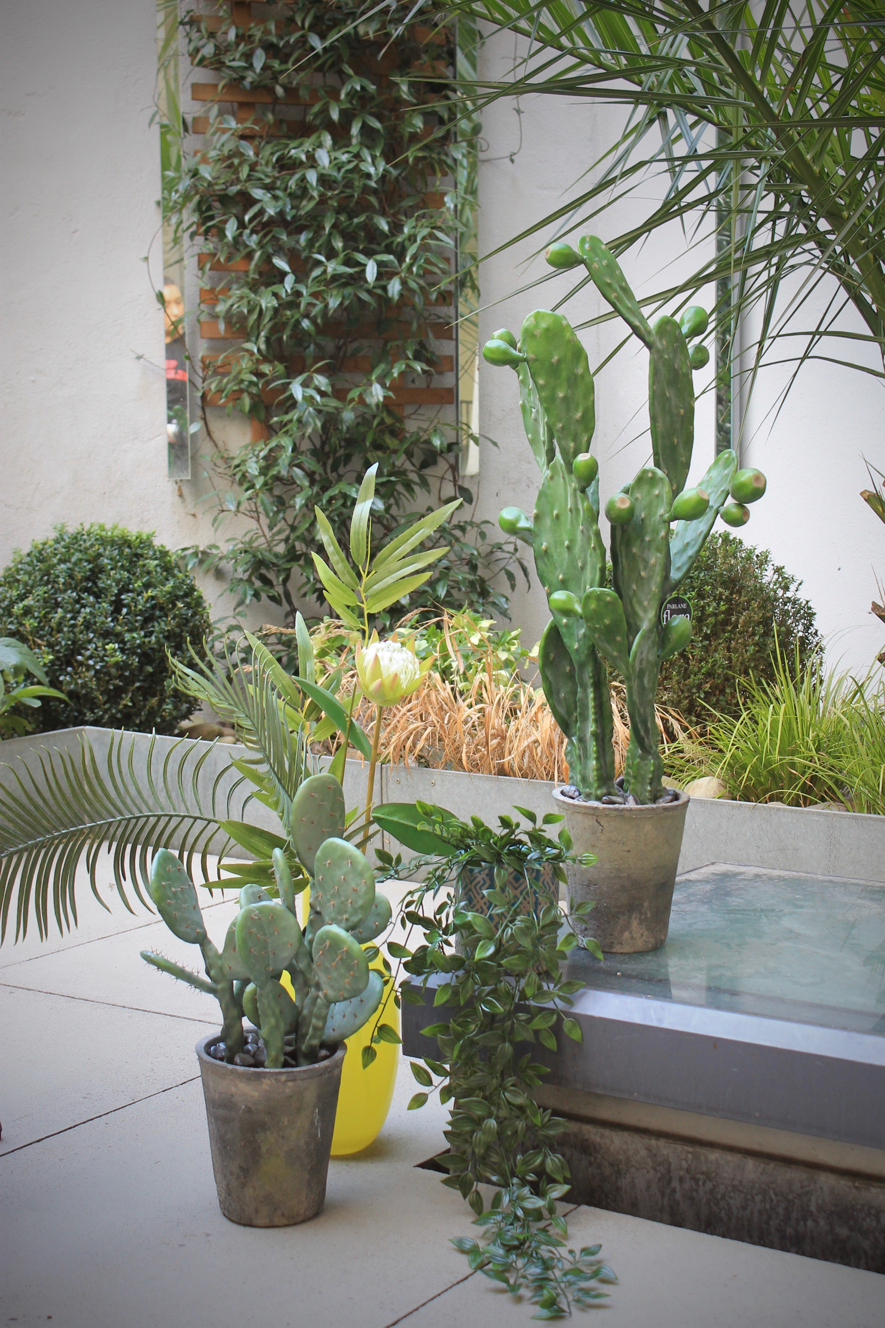 Amara home styling tips outdoors