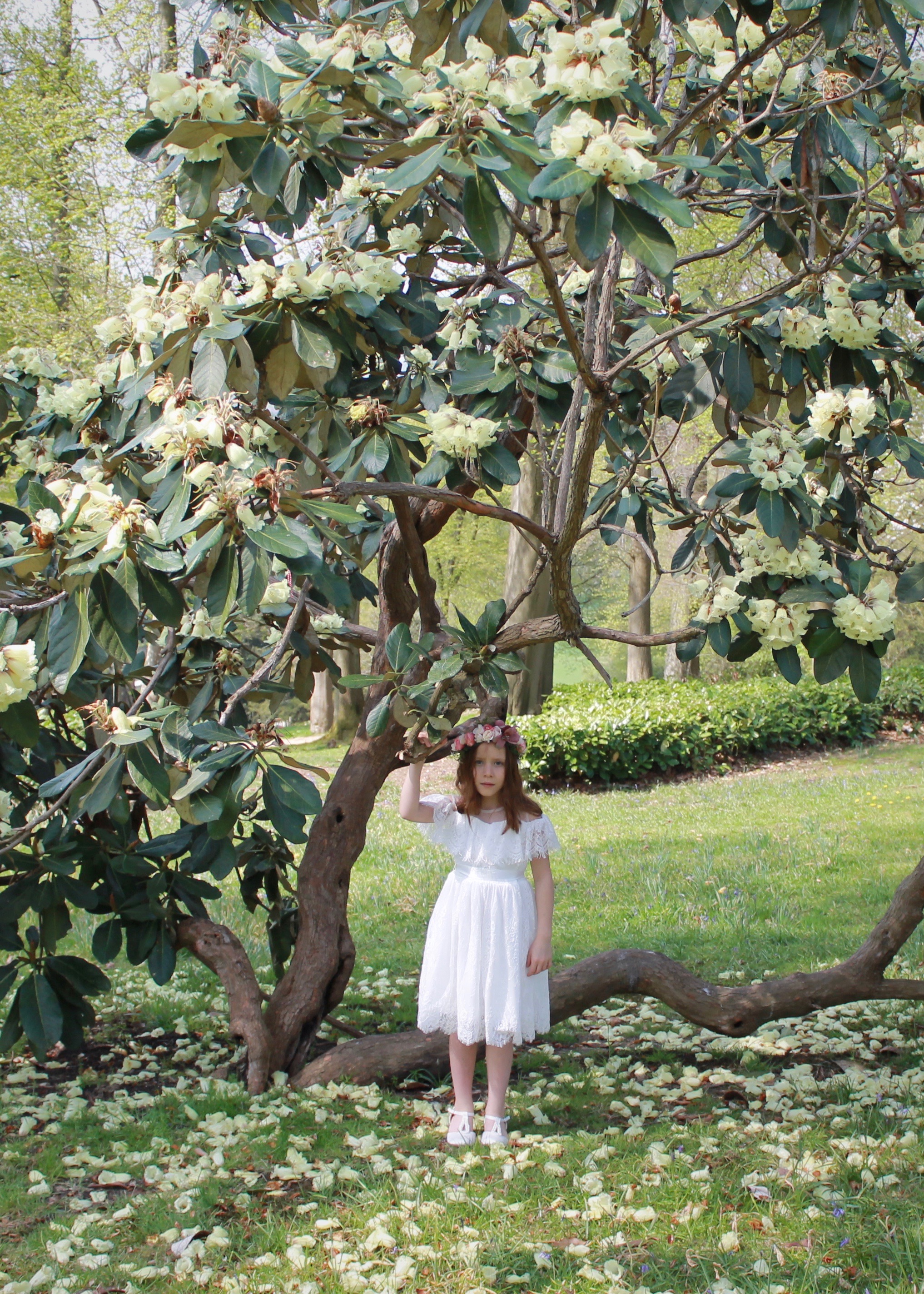 formal dresses for girls tree full length