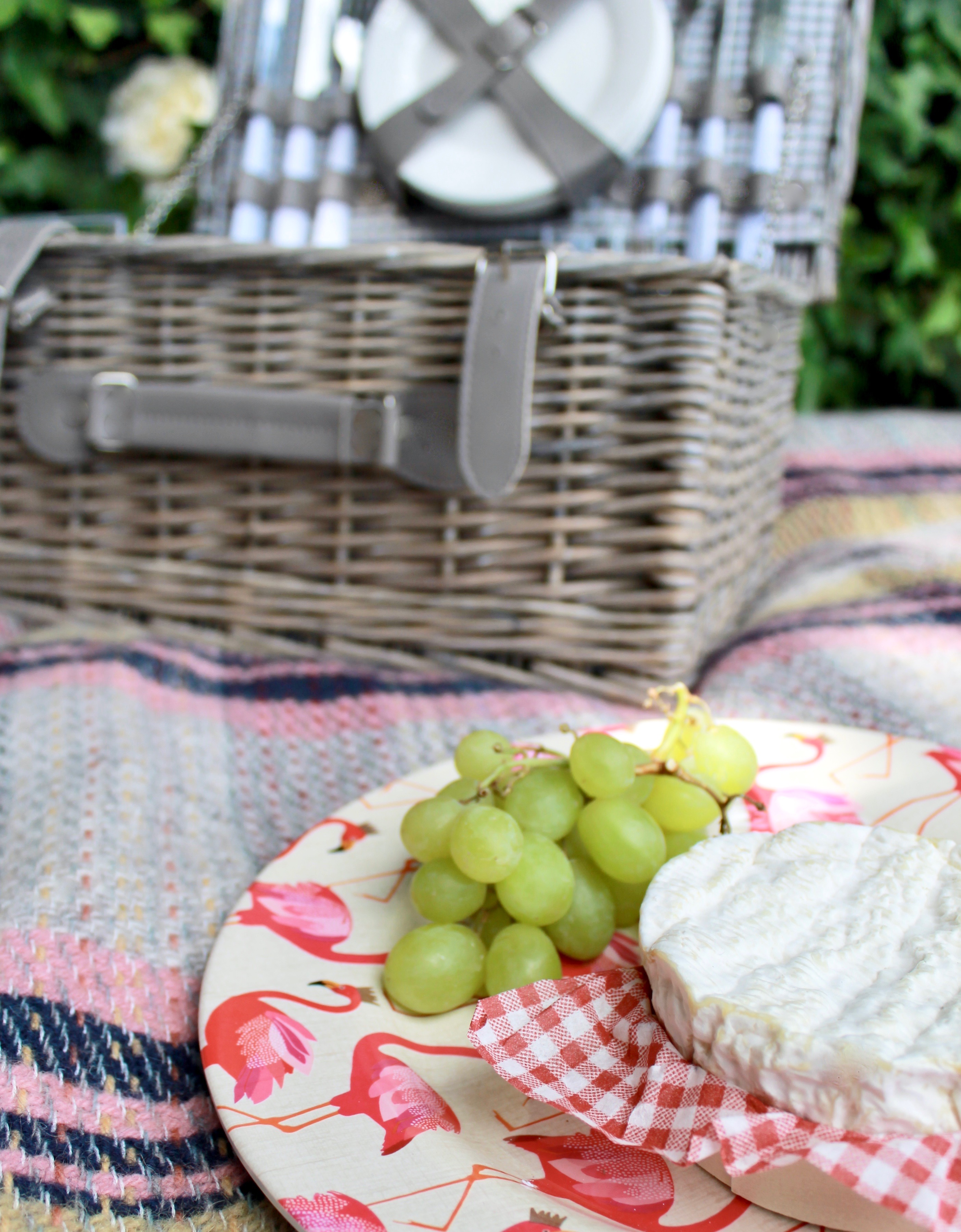 Picnic essentials