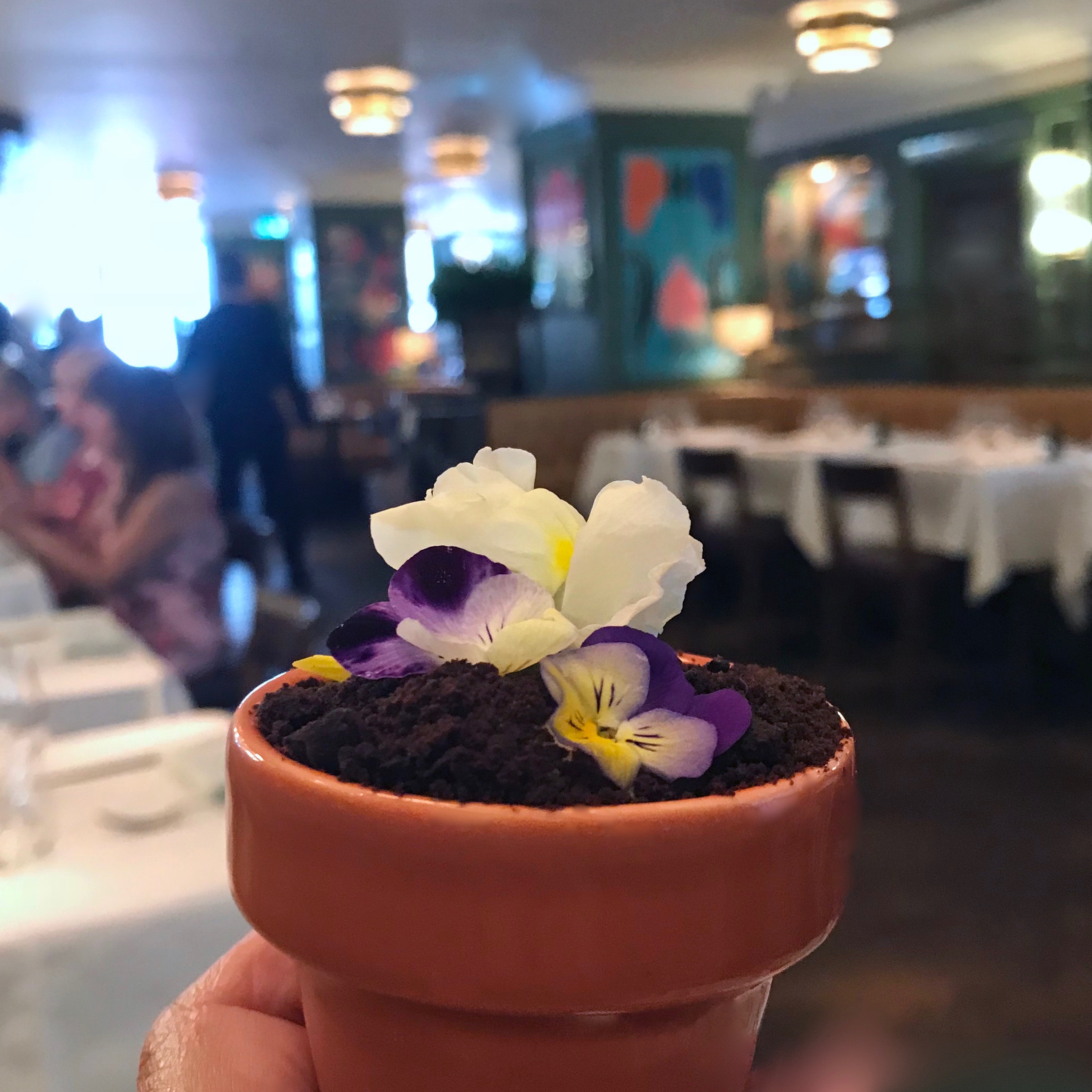 Afternoon tea The Ivy Marlow Garden mousse