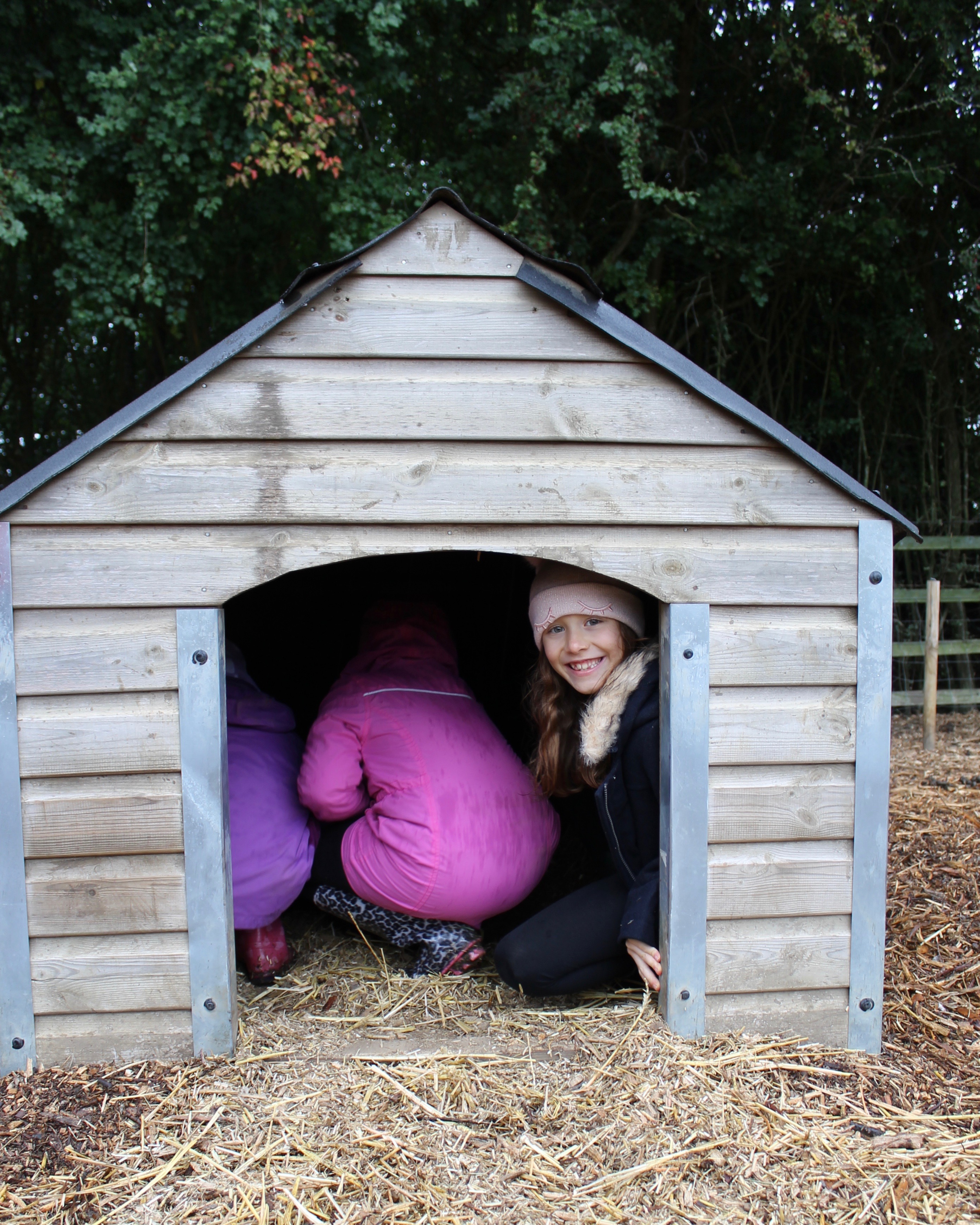 Lil sis in pig house