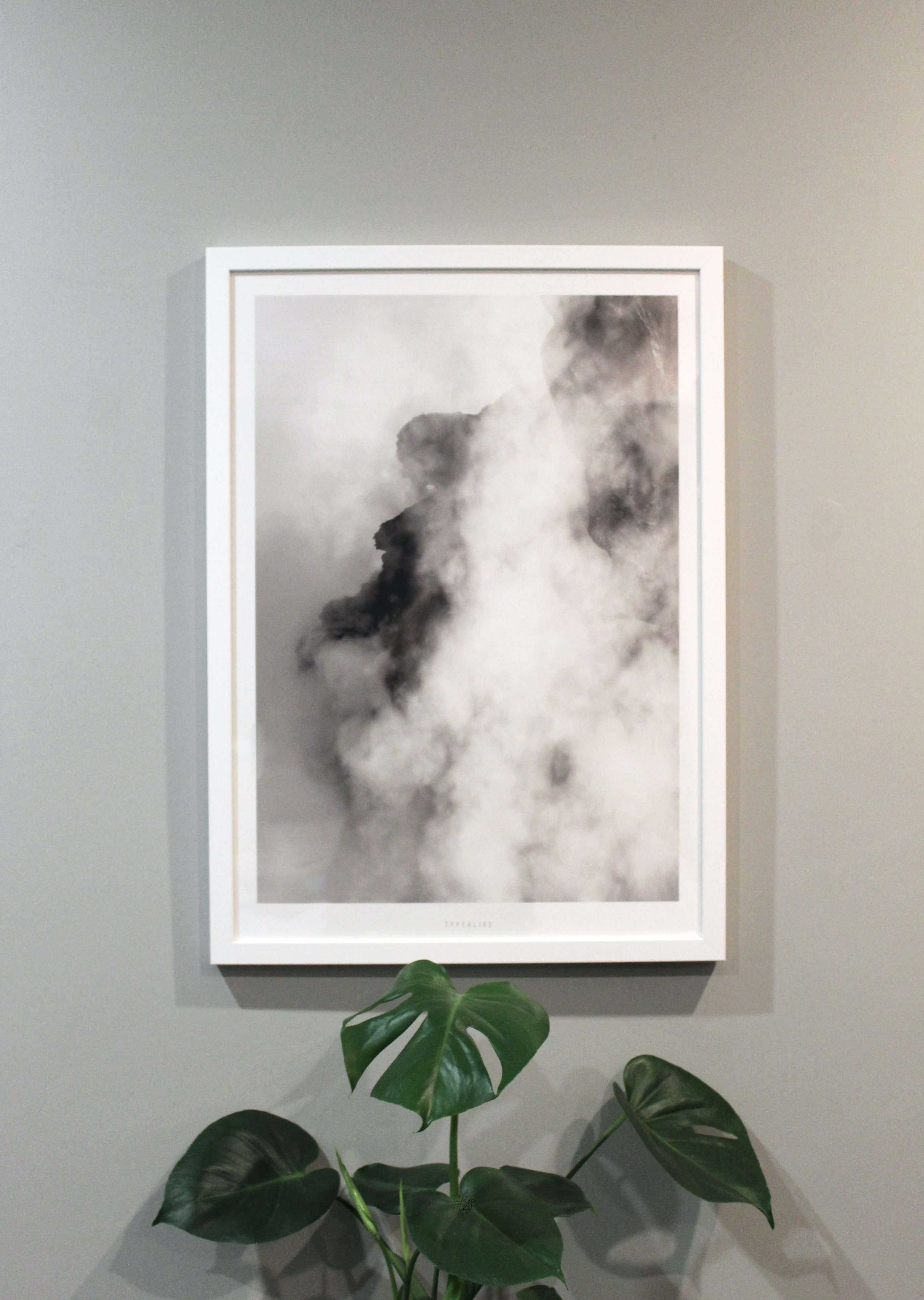 contemporary art prints with plant
