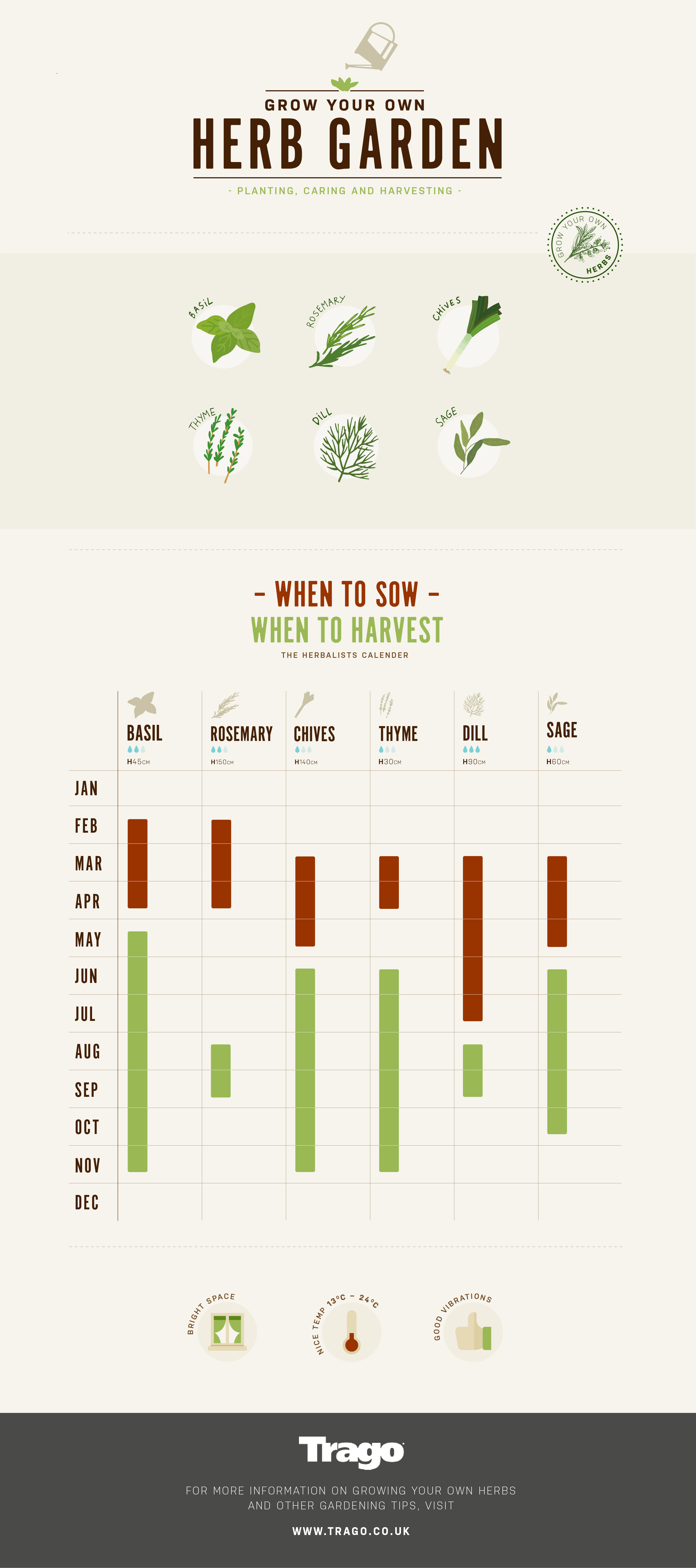 Make Your Own Herb Garden infographic