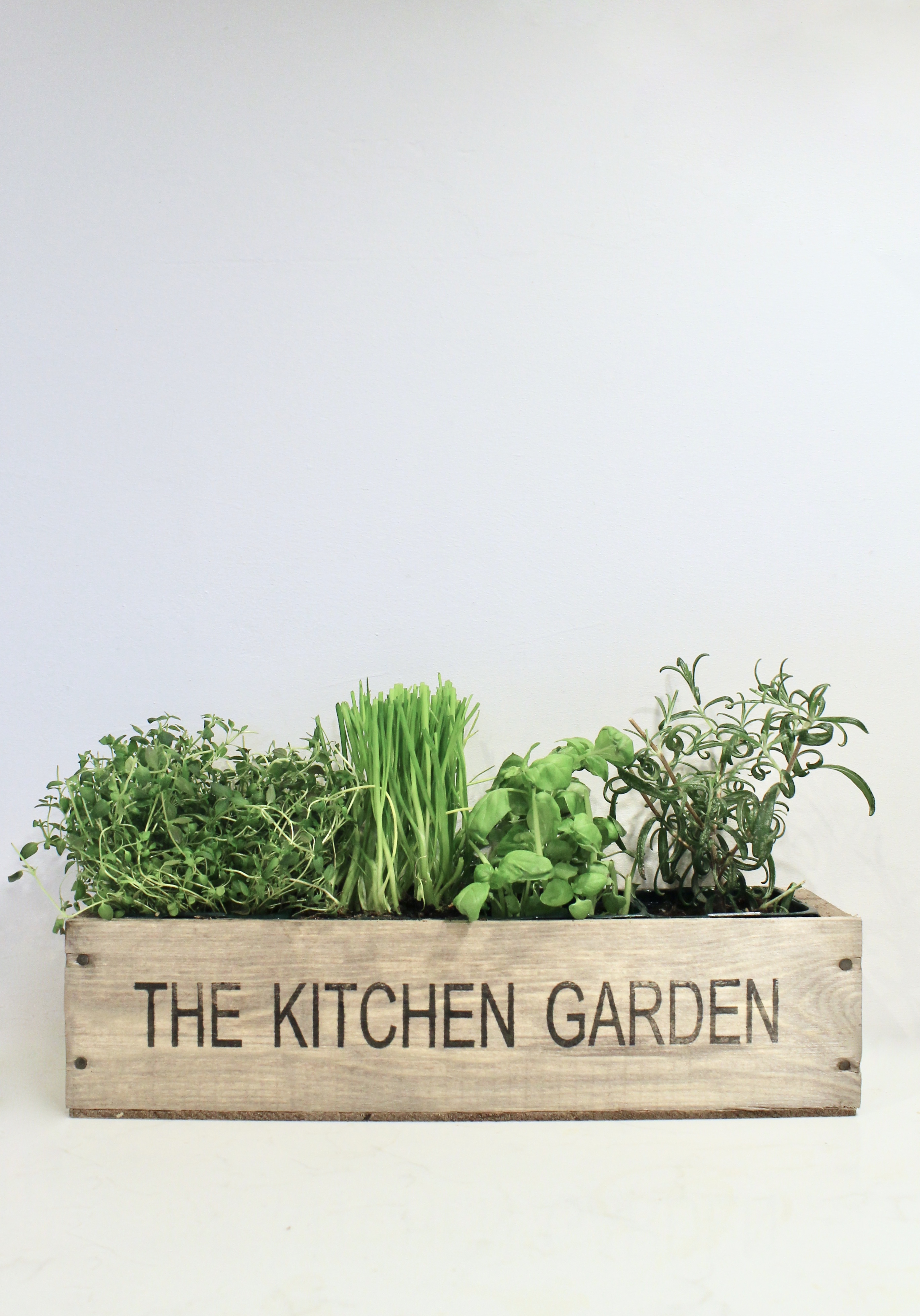 Make Your Own Herb Garden holding shot