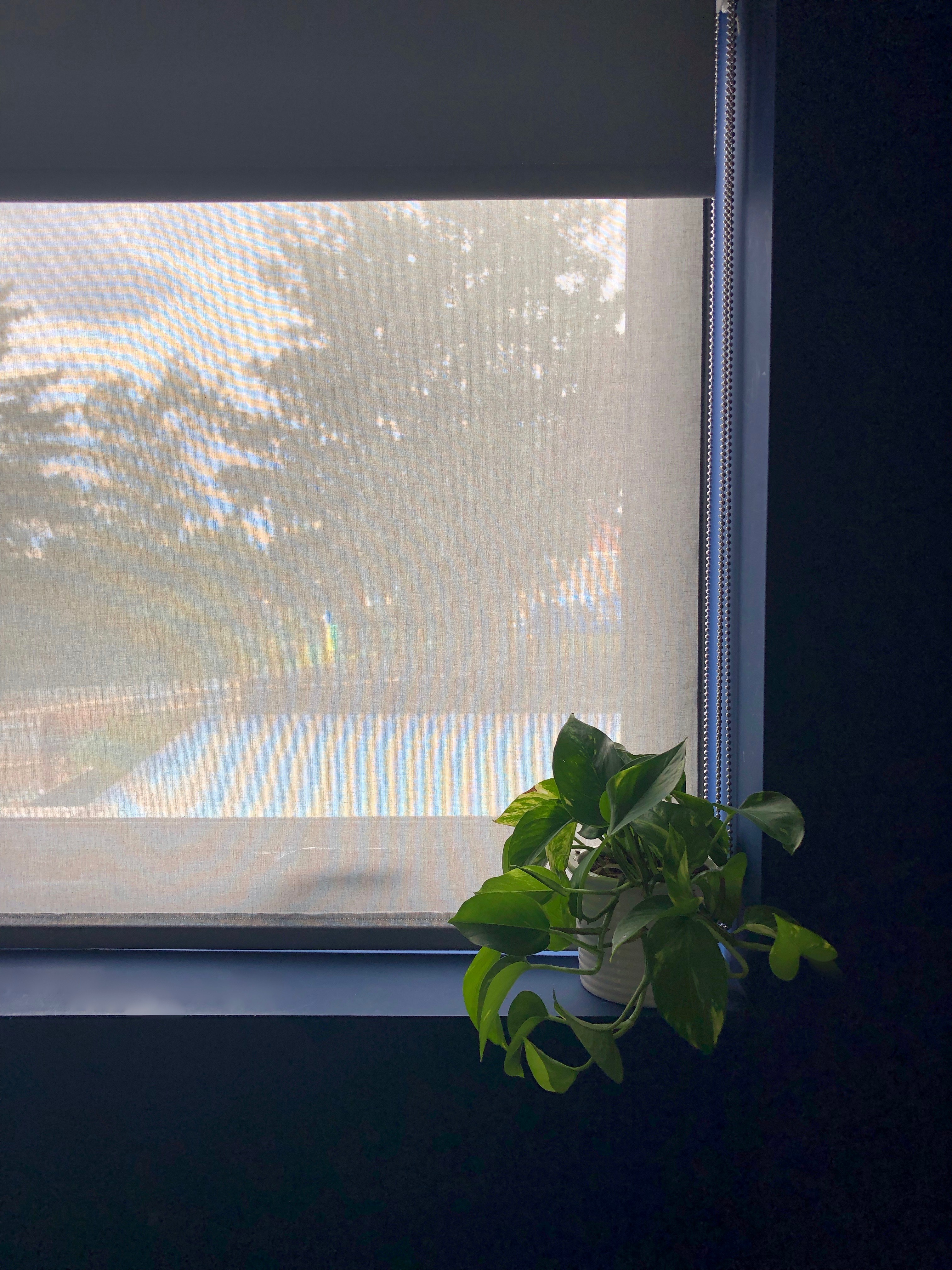 double roller blind review - fully lowered