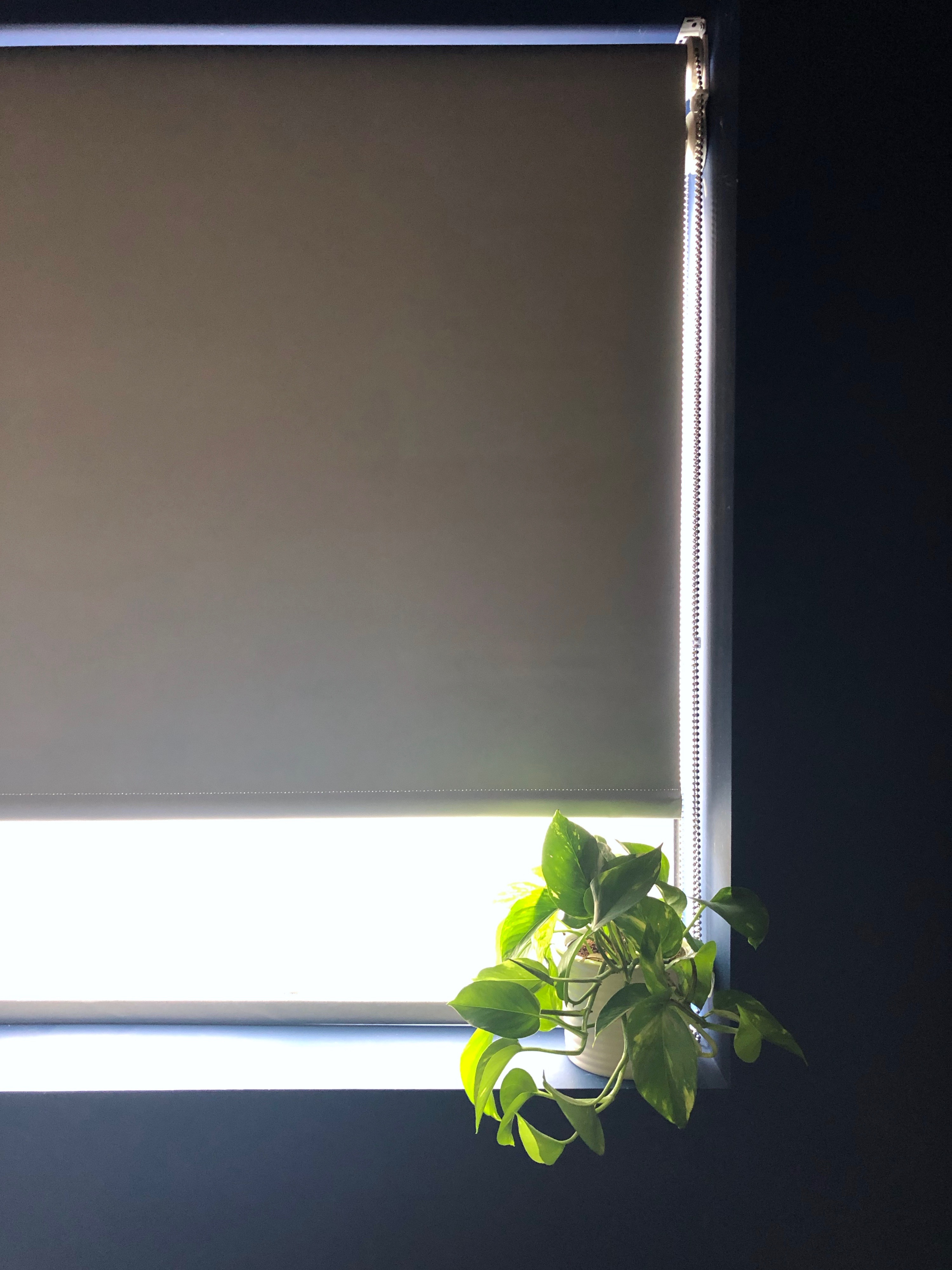 Showing day and night blinds for bedrooms with blackout lowered 