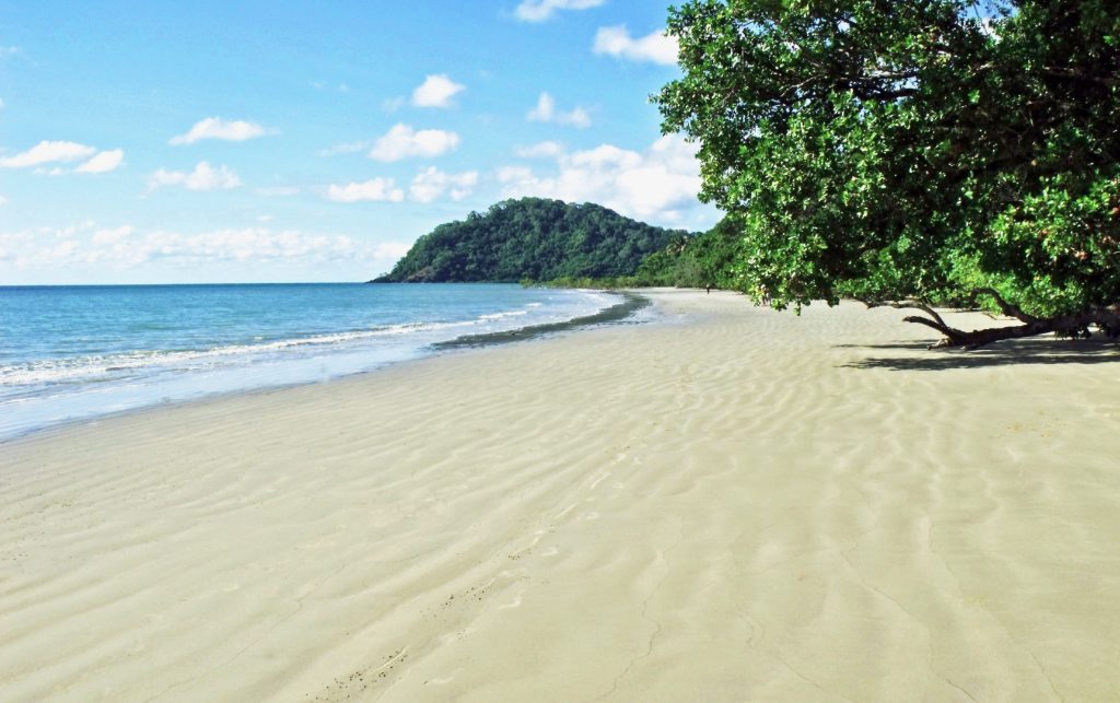 Tropical North Queensland shot of beach