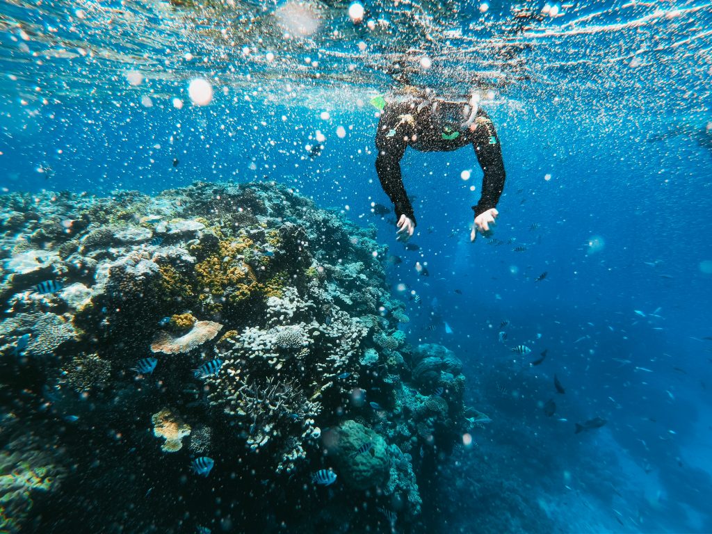 scuba diving