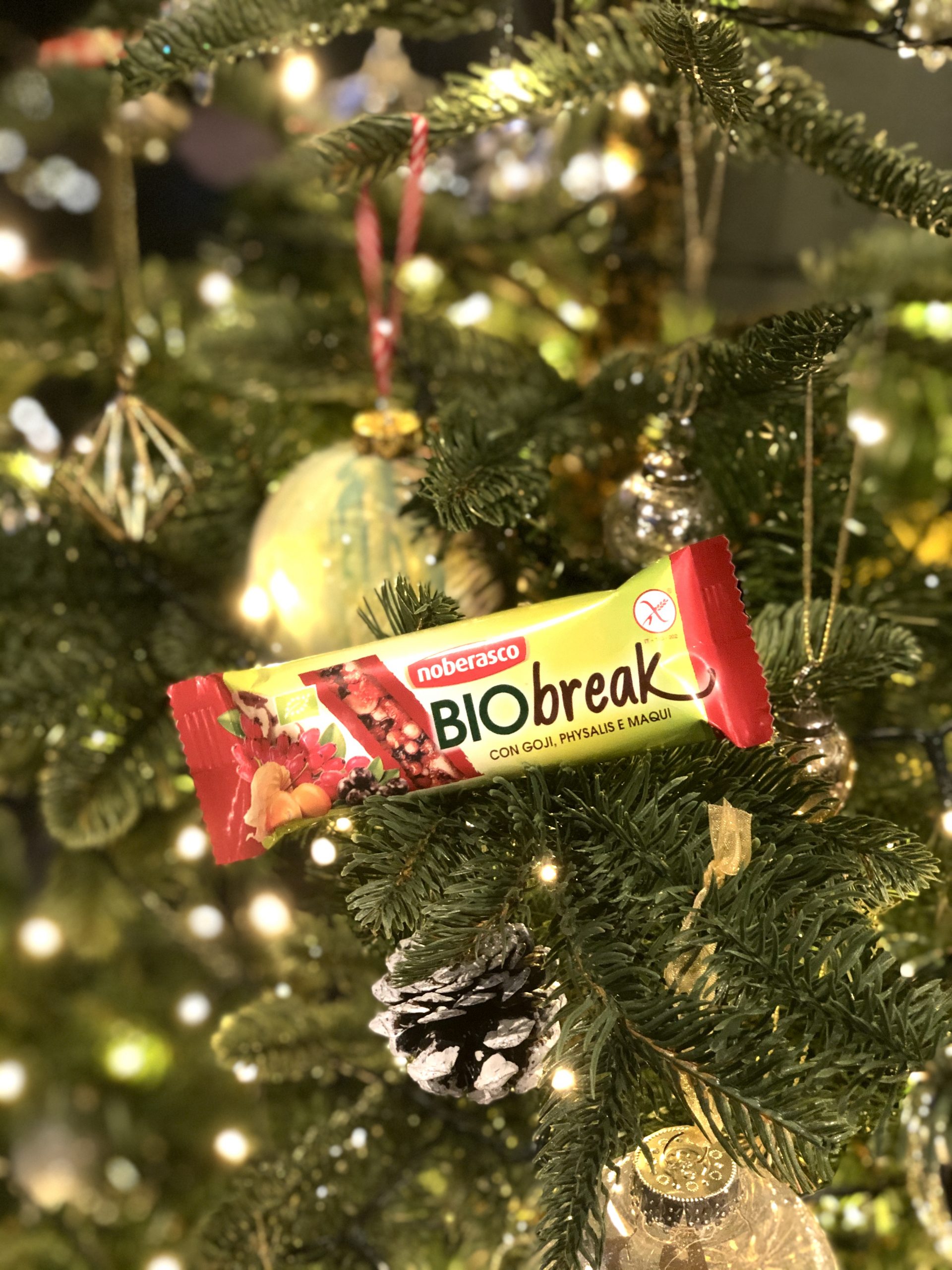 Organic fruit cereal bars - festive shot